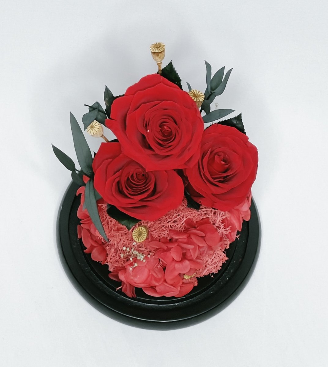 Enchanted Preserved Roses in Glass Dome - Timeless Real Flower Arrangement with 2-3 Year Longevity for Valentine's Day, Wedding Gifts & Special Occasions