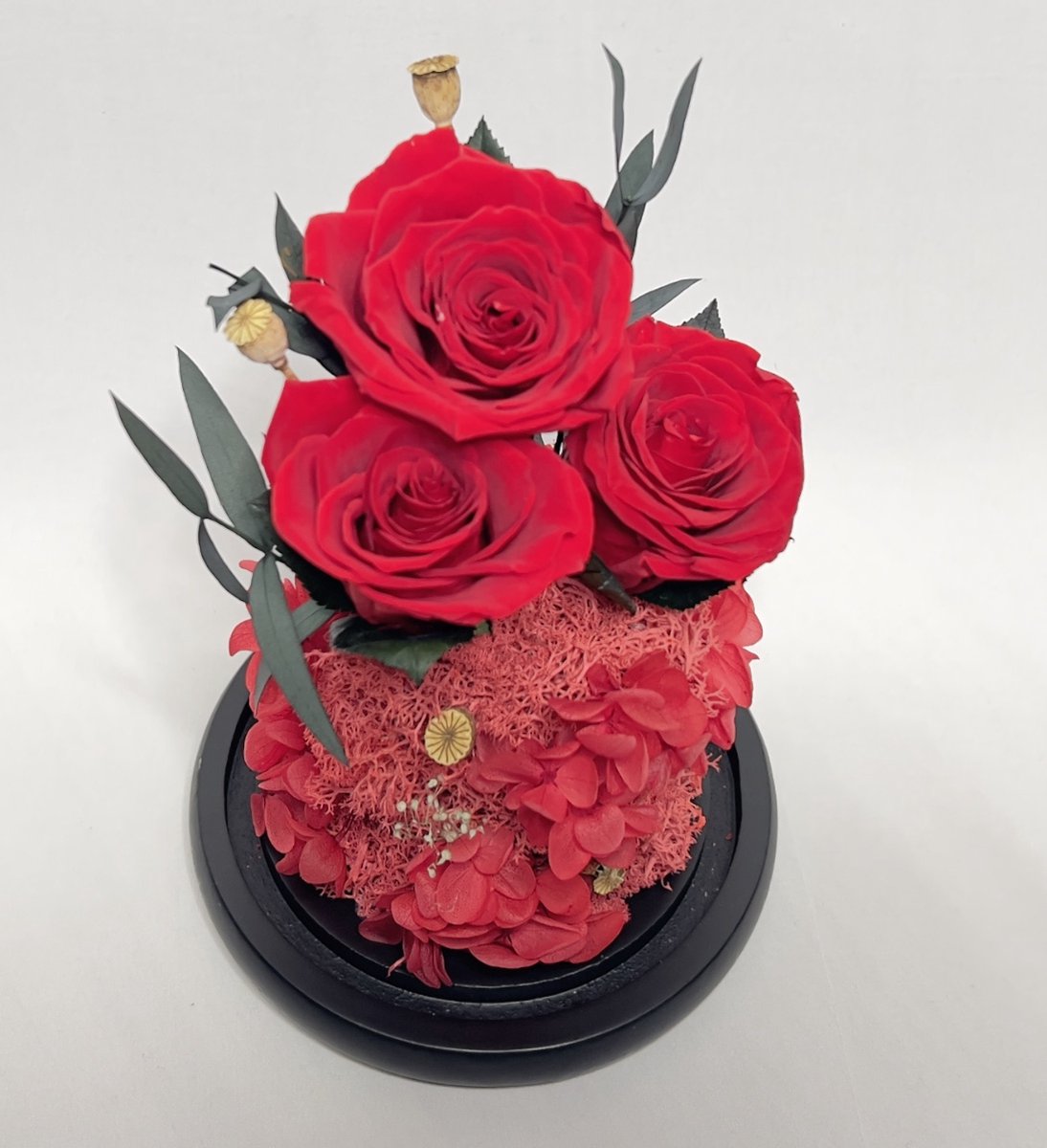 Enchanted Preserved Roses in Glass Dome - Timeless Real Flower Arrangement with 2-3 Year Longevity for Valentine's Day, Wedding Gifts & Special Occasions