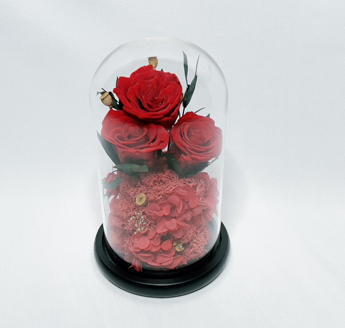Enchanted Preserved Roses in Glass Dome - Timeless Real Flower Arrangement with 2-3 Year Longevity for Valentine's Day, Wedding Gifts & Special Occasions
