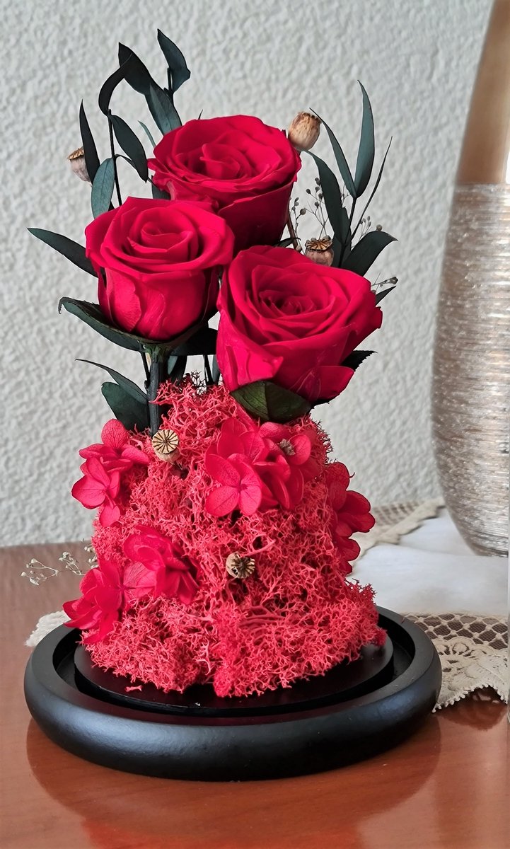 Enchanted Preserved Roses in Glass Dome - Timeless Real Flower Arrangement with 2-3 Year Longevity for Valentine's Day, Wedding Gifts & Special Occasions