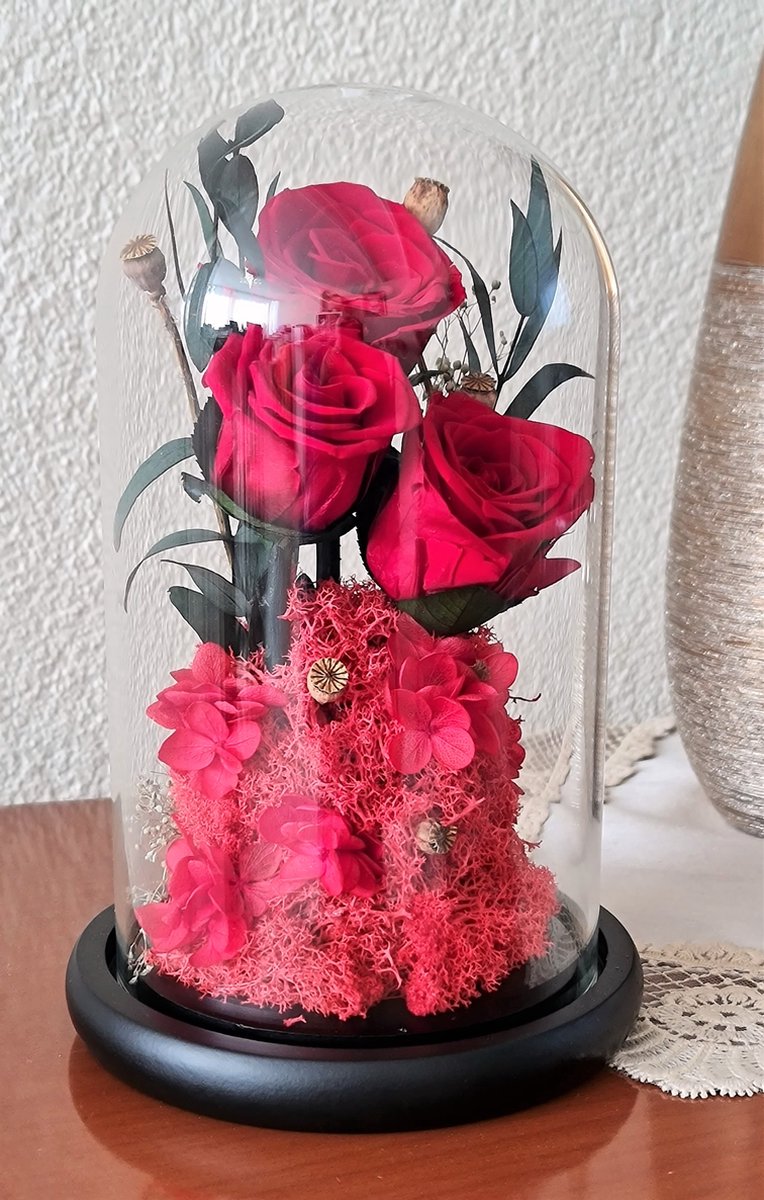 Enchanted Preserved Roses in Glass Dome - Timeless Real Flower Arrangement with 2-3 Year Longevity for Valentine's Day, Wedding Gifts & Special Occasions
