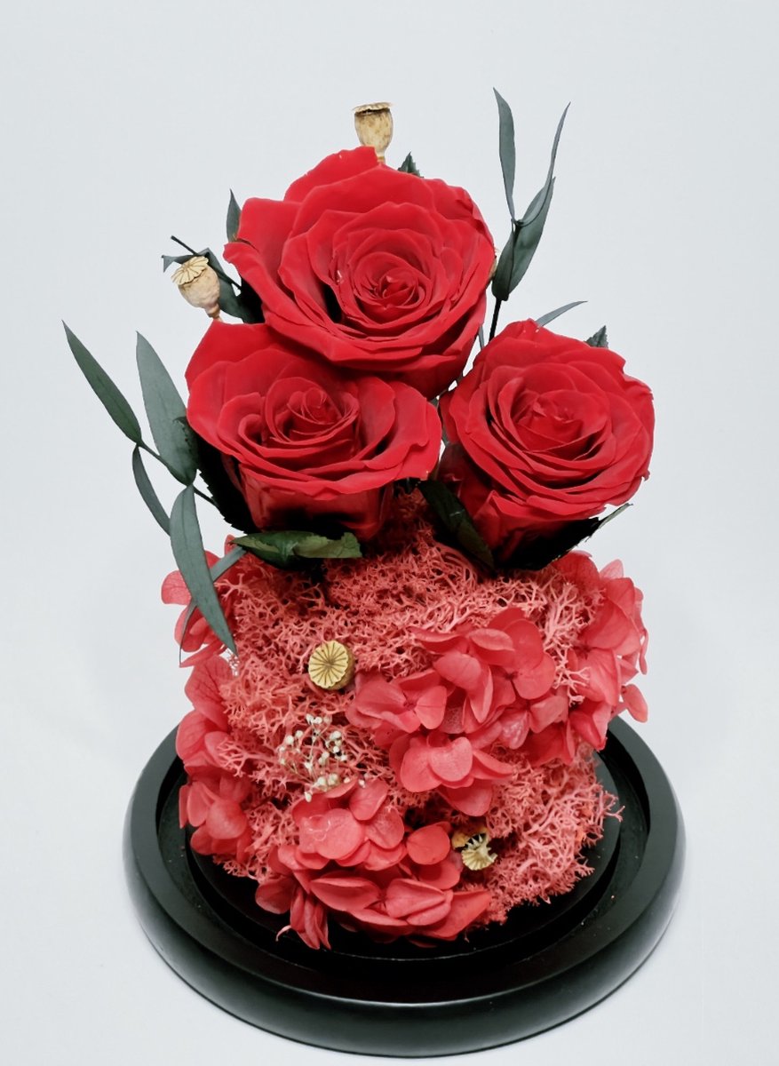 Enchanted Preserved Roses in Glass Dome - Timeless Real Flower Arrangement with 2-3 Year Longevity for Valentine's Day, Wedding Gifts & Special Occasions