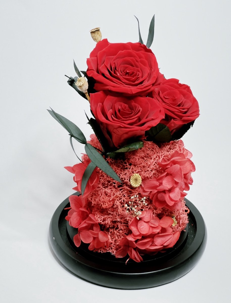 Enchanted Preserved Roses in Glass Dome - Timeless Real Flower Arrangement with 2-3 Year Longevity for Valentine's Day, Wedding Gifts & Special Occasions