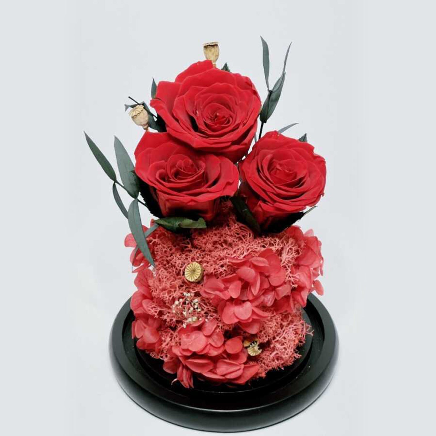 Real Roses in Glass Dome - Valentine's Preserved 2-3yr