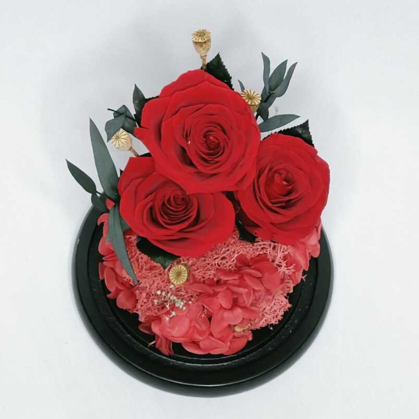 Real Roses in Glass Dome - Valentine's Preserved 2-3yr