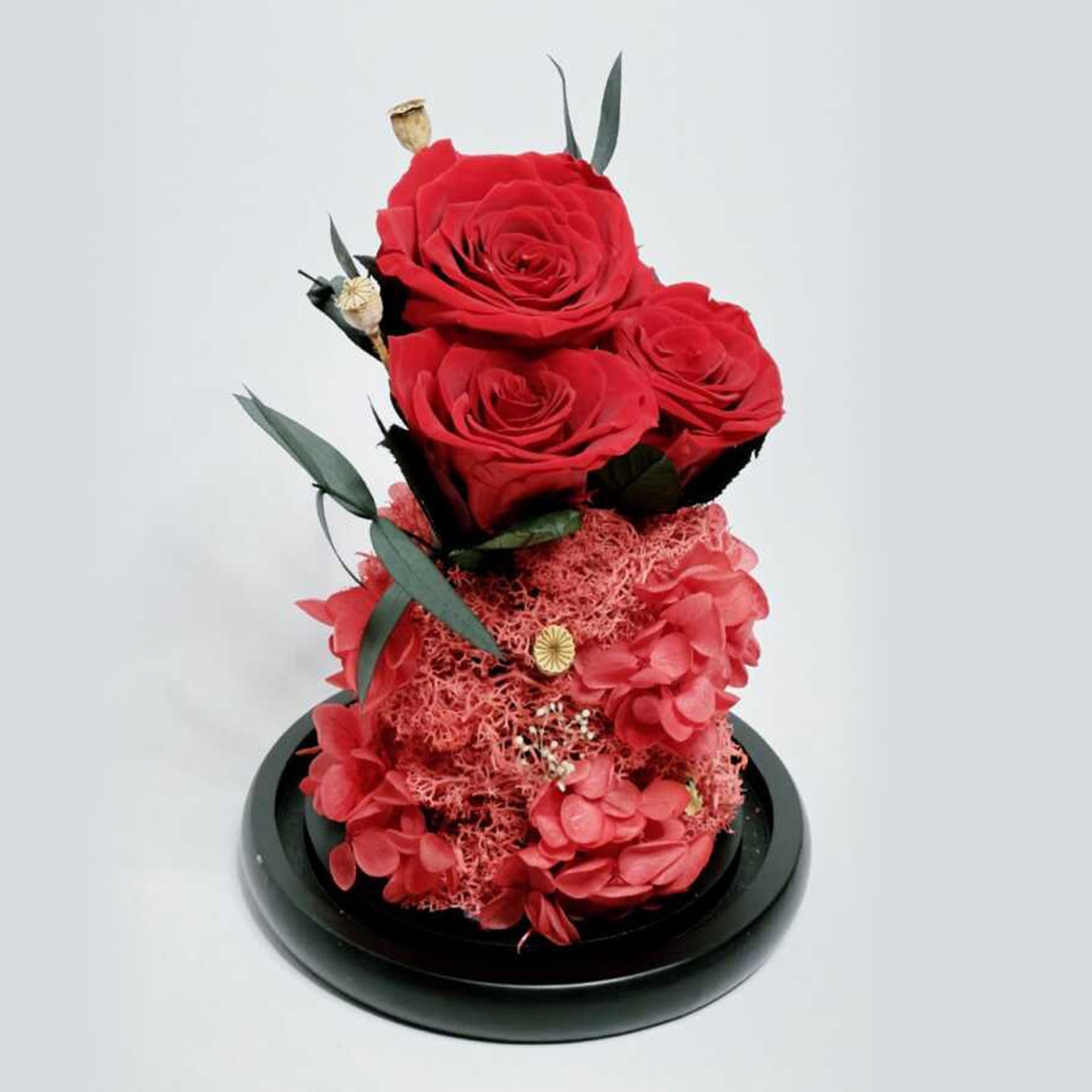 Real Roses in Glass Dome - Valentine's Preserved 2-3yr