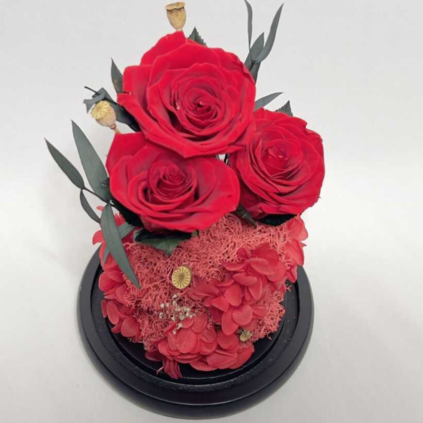 Real Roses in Glass Dome - Valentine's Preserved 2-3yr