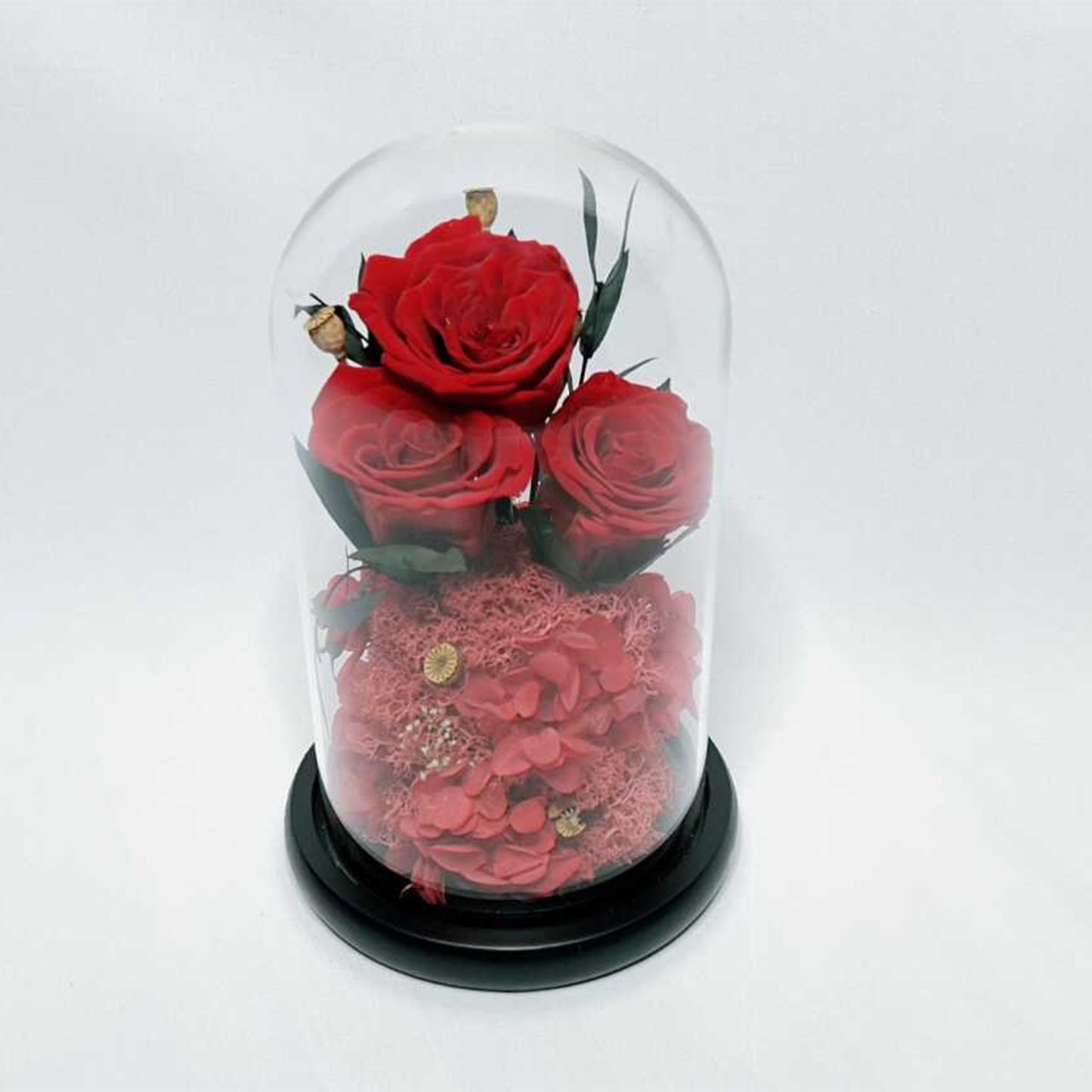 Real Roses in Glass Dome - Valentine's Preserved 2-3yr