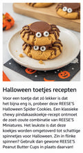 Twee koekjes als spinnen versierd met Reese's en oogjes op een wit bord.