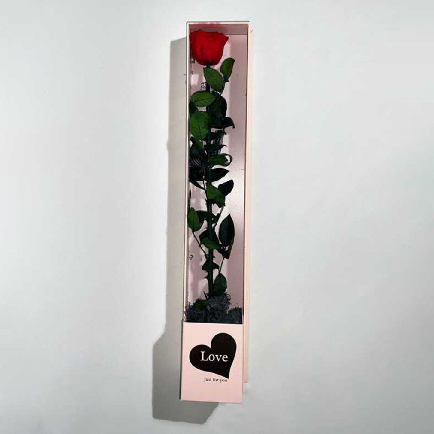 Tobeyz Long Life Red Rose XXL in Pink Gift Box - Mother's Day Valentine's Gift