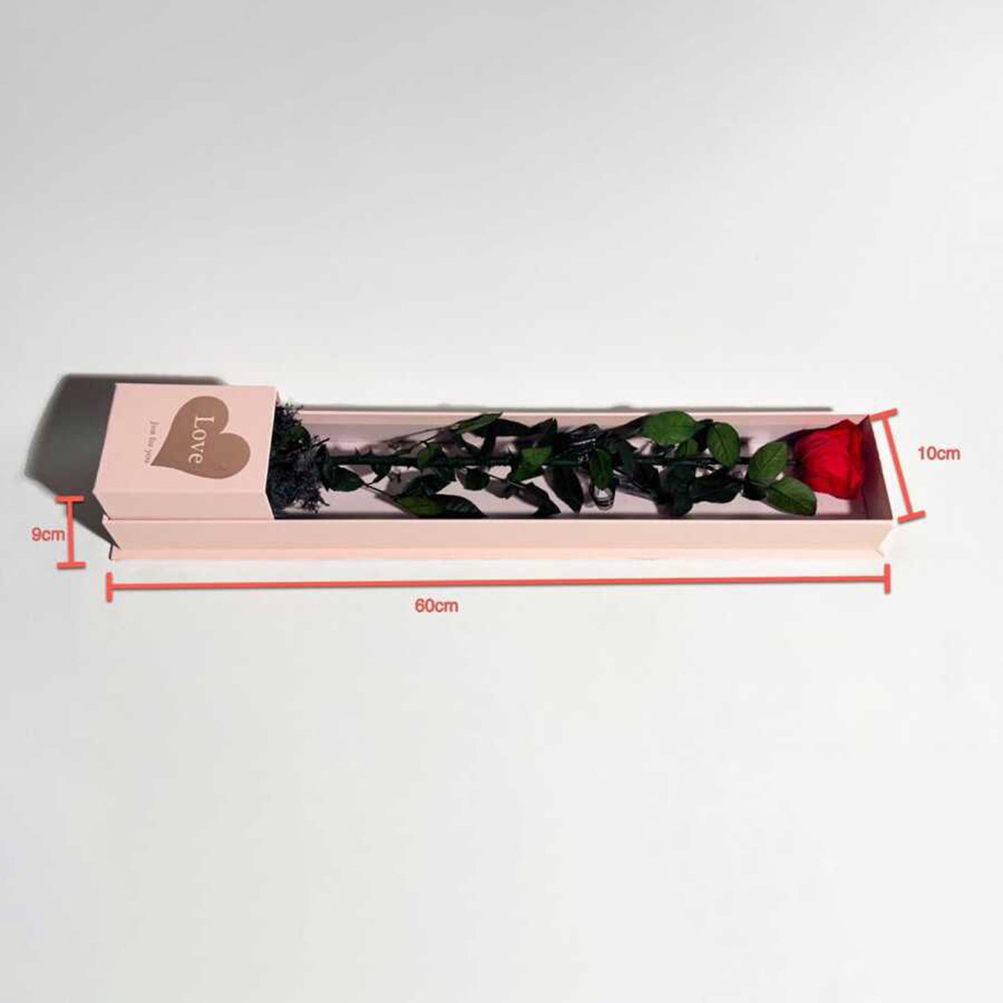 Tobeyz Long Life Red Rose XXL in Pink Gift Box - Mother's Day Valentine's Gift