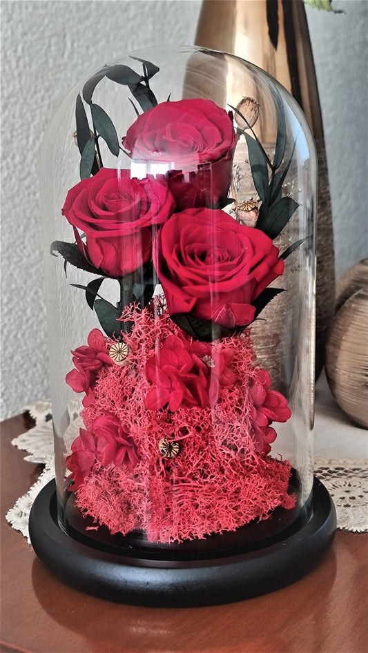 Enchanted Preserved Roses in Glass Dome - Timeless Real Flower Arrangement with 2-3 Year Longevity for Valentine's Day, Wedding Gifts &amp; Special Occasions